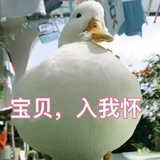 大叉烧包