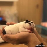 雨过