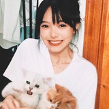 落日前逃亡