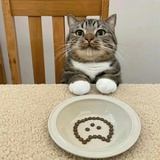 一段带鱼