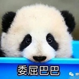 闲闲闲闲忙