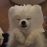不知道