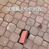 半个柠檬
