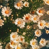 粥粥