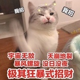 咸猫