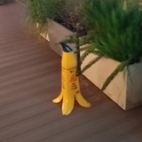 娟江