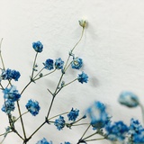 墨苒物语