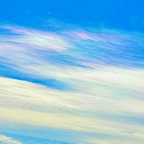 CYK_2033