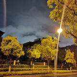 嘻嘻哈哈