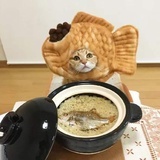 哥哥的肉团泡芙
