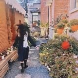 ·念念岁岁·