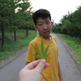 曼陀罗
