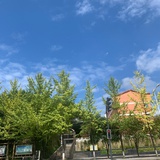 怪