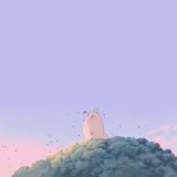 雪球宝