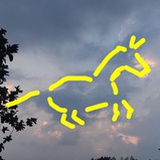土拨猴子