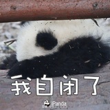 石灰