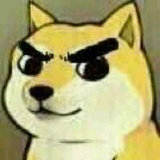诶呦喂