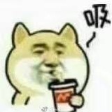 语言学校申请DIY