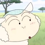 橘子熟了没啊