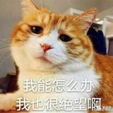 柠檬橘子皮