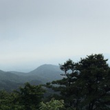 马新港