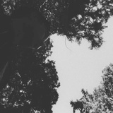 光.