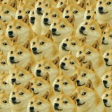 oo