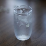 羊羊羊