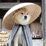 姬无丽
