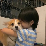 傻鲨不傻uu