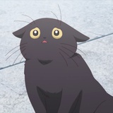 隐身衣