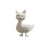 不讲道理