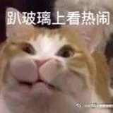 水煮鱼