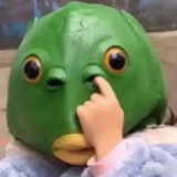 喵了个咪
