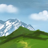 有海鸥