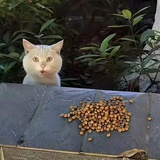 一一