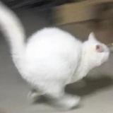 Re