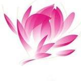小东风文案