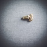 名号已被移除