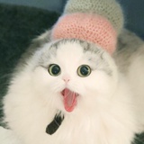 九月