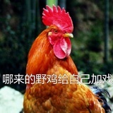 依依