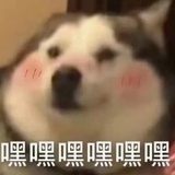 神奇的小物块
