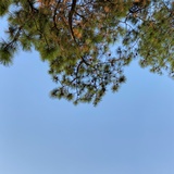小小托尼