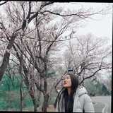 仄言yan