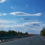 大鱼