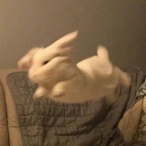 阿心