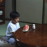子非鱼