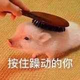 按住躁动的你