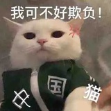 Mimi和甜甜🐱