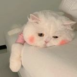 我叫不吃饭